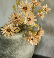 #OR215415  23In Beige Daisy Spray