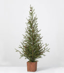 TR1076 Primitive 4 FT Pine Tree in Wood Box