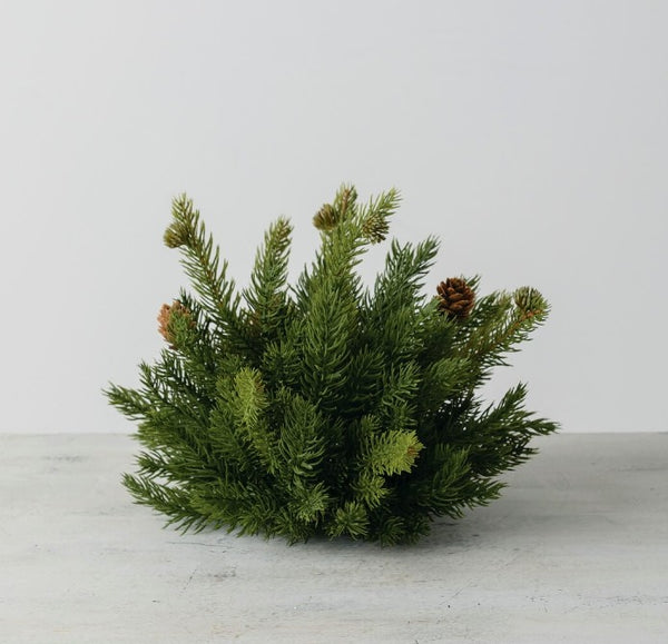 #ORB114 White Spruce 1/2 Orb