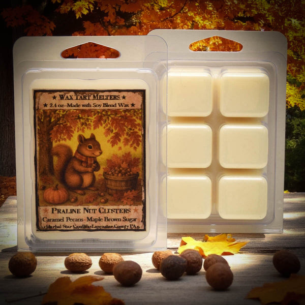 #SQMLT  Herbal Star "Praline Nut Clusters"  Mini Pack of 6 Wax Melting Tarts