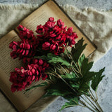 #G228493 Red Hops 16 Inch Bush
