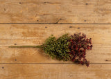 #G171100 New England 28In Boxwood & Berry Bush