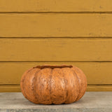 # SWS241637  6.5in. Pumpkin Planter Orange Terracotta
