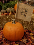 #WBFL Primitive "Witches Brew"  Flag On Stick