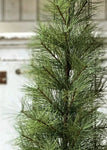#XLA30166 Primitive 6Ft Timberline Pine Tree