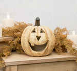 #WS12312W Rustic White Big Mouth Pumpkin - 8 Inch