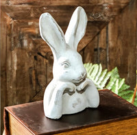 #PDDMH13  9In White Peter Rabbit