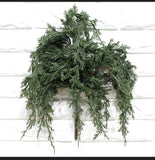 #P-339 Dark Green Juniper Pick
