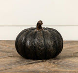 #WS221230 Black Short Pumpkin  5.75In
