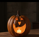 #WS221212  15In Terracotta Big Mouth Pumpkin