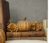 #WS221207 Beige 2.75In Short Pumpkin