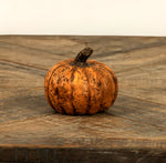 #WS221208 Terracotta Short 2.75In Pumpkin