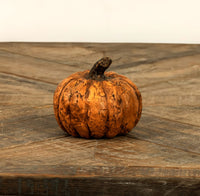 #WS221208 Terracotta Short 2.75In Pumpkin