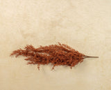 #G233259 Rust Berry 30In Hanging Bush