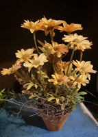 #CS25M Primitive Mustard Ash Potted Daisy