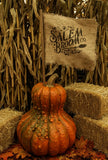 #SBFL Primitive "Salem Broom" Flag On Stick