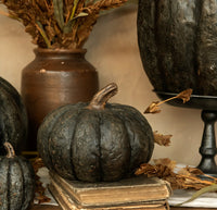 #WS221230 Black Short Pumpkin  5.75In