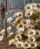 #8724 16In Ashdale Daisy Bush - Ecru