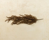 #G233260 Faux "Sweet Annie" 30In Hanging Bush