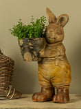 #248232  Brown Bunny w/ Black Pot Planter