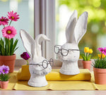 #4311109  Set of 2 Rabbit w/ Glasses 8In