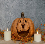 #WS221216 Terracotta Big Mouth 11In Pumpkin