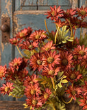 #OS4282 Ashdale Daisy 16In Bush - Rusty