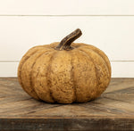 #WS221203 Beige Short 9In Pumpkin