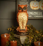 #WS221294 Vintage 10In Orange Resin Owl