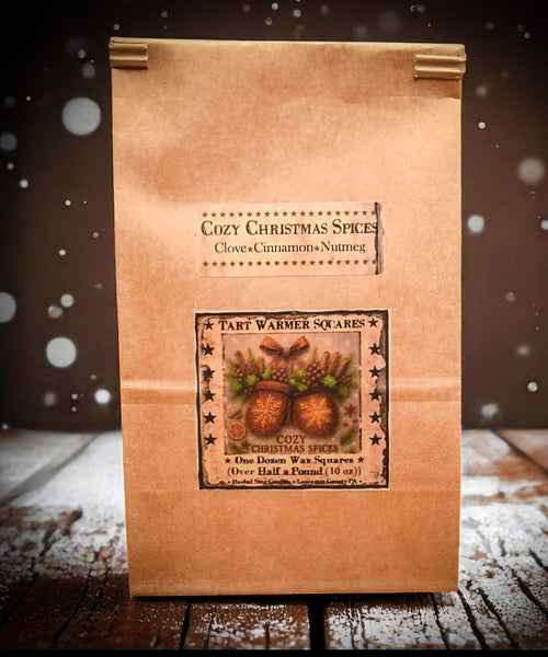 #CZBAG "Cozy Christmas Spices" 10oz Bag of 12 Soy Wax Tarts