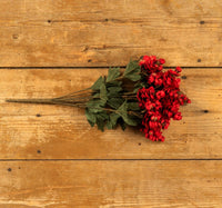 #G228493 Red Hops 16 Inch Bush