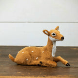 #KY239042  Resting Fur Deer