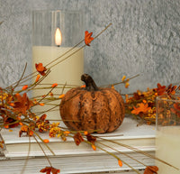 #WS221208 Terracotta Short 2.75In Pumpkin