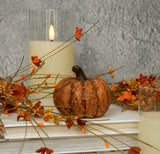 #WS221208 Terracotta Short 2.75In Pumpkin