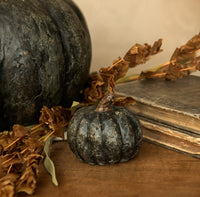 #WS221232 Black Short Pumpkin 2.75In