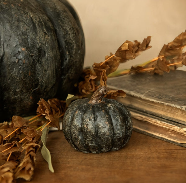#WS221232 Black Short Pumpkin 2.75In