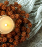 #G233629 Mini Rust Chestnut Seed 10In Candle Ring