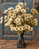#8724 16In Ashdale Daisy Bush - Ecru