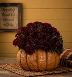 # SWS241637  6.5in. Pumpkin Planter Orange Terracotta