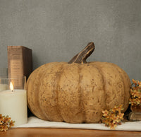 #WS221203 Beige Short 9In Pumpkin