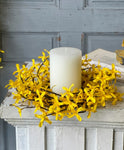 #BR5614  6.5In Sunrise Forsythia Candle Ring