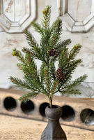 #XP76812 White Spruce 16 In Pick With Cones