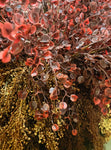 #XTE5123 Rushing Red Leaves 25In Spray