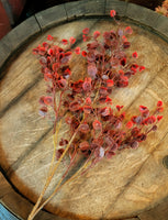 #XTE5123 Rushing Red Leaves 25In Spray