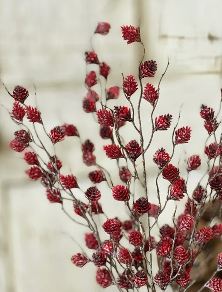 #TE7544 Primitive 18In Spur Seed Bush - Claret