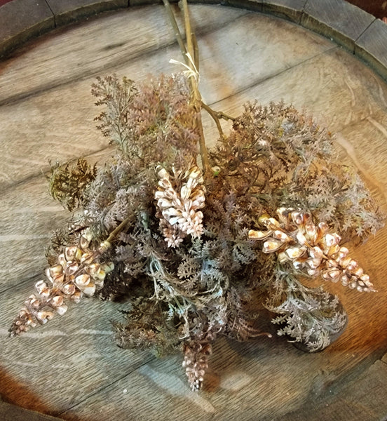 #RF1130  Primitive Grape Fern Stems