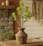 #2231FL  11In Mini Echeveria Plant-Green/Burgundy