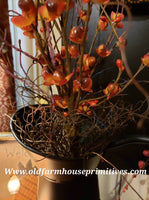 #PAVG2 Primitive Angel Vine Grass Large Bag