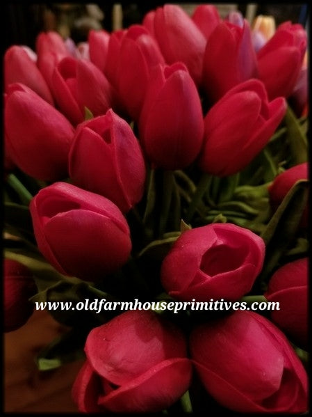 #RT3 Realistic Spring Red Tulips🌷