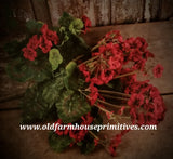 #RH122 Red Geranium Bush ~ TOP SELLER!